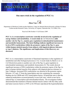 One more trick in the regulation of PGC-1 α Zhen Yan Commentary