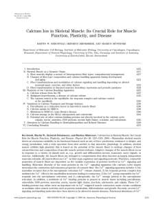 Calcium Ion in Skeletal Muscle: Its Crucial Role for Muscle