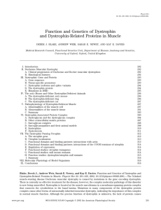 Function and Genetics of Dystrophin and Dystrophin-Related Proteins in Muscle