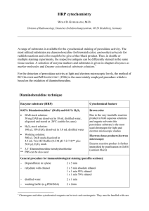 HRP cytochemistry