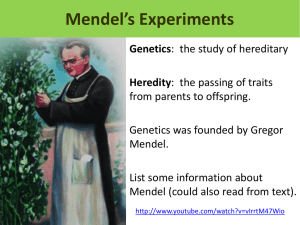 Mendel’s Experiments