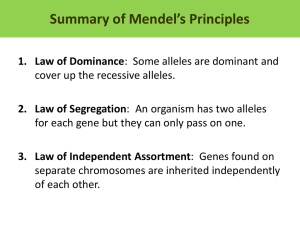 Summary of Mendel’s Principles