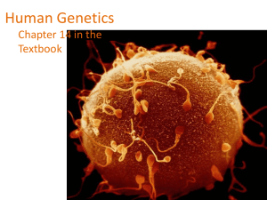 Human Genetics Chapter 14 in the Textbook