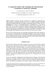 A Comparative Study of the Techniques for Ultrastructural