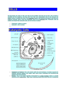 CELLS