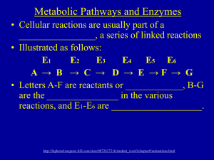 Metabolic Pathways and Enzymes
