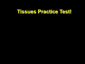 Tissues Practice Test!