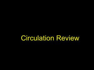 Circulation Review