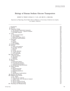 Biology of Human Sodium Glucose Transporters