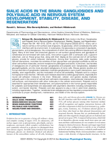 SIALIC ACIDS IN THE BRAIN: GANGLIOSIDES AND DEVELOPMENT, STABILITY, DISEASE, AND