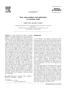 Bone strain gradients and optimization in vertebrate skulls Callum F. Ross