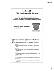Section 02: The Cardiovascular System 1/4/2013