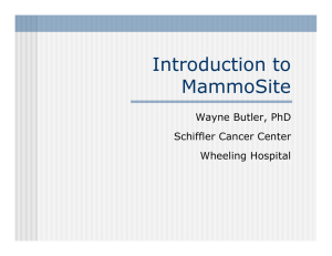 Introduction to MammoSite Wayne Butler, PhD Schiffler Cancer Center