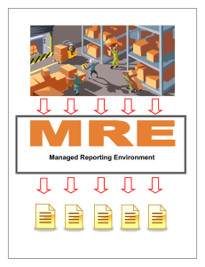 Managed Reporting Environment