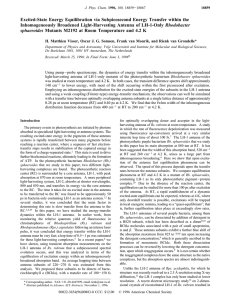 Excited-State Energy Equilibration via Subpicosecond Energy Transfer within the Rhodobacter sphaeroides