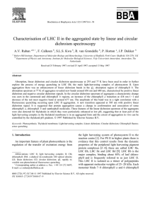 Characterisation of LHC II in the aggregated state by linear... dichroism spectroscopy A.V. Ruban , F. Calkoen