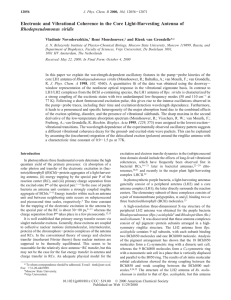 Electronic and Vibrational Coherence in the Core Light-Harvesting Antenna of Rhodopseudomonas Rene