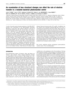 An examination of how structural changes can affect the rate... transfer in a mutated bacterial photoreaction centre