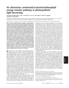 An alternative carotenoid-to-bacteriochlorophyll energy transfer pathway in photosynthetic light harvesting