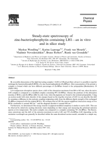 Steady-state spectroscopy of zinc-bacteriopheophytin containing LH1±±an in vitro and in silico study