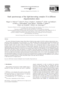 Stark spectroscopy of the light-harvesting complex II in different oligomerisation states