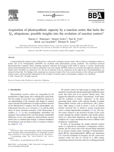 Acquisition of photosynthetic capacity by a reaction centre that lacks... Q ubiquinone; possible insights into the evolution of reaction centres?