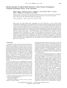 Ultrafast Dynamics of Isolated Model Photoactive Yellow Protein Chromophores: