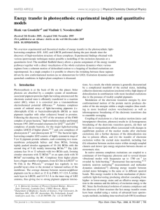 Energy transfer in photosynthesis: experimental insights and quantitative models Rienk van Grondelle*