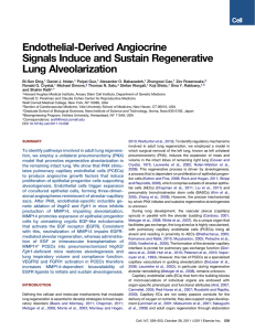 Endothelial-Derived Angiocrine Signals Induce and Sustain Regenerative Lung Alveolarization