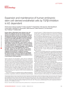 Expansion and maintenance of human embryonic b inhibition is Id1 dependent
