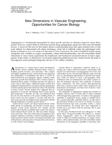 New Dimensions in Vascular Engineering: Opportunities for Cancer Biology