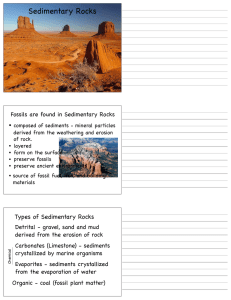 Sedimentary Rocks  • Fossils are found in Sedimentary Rocks