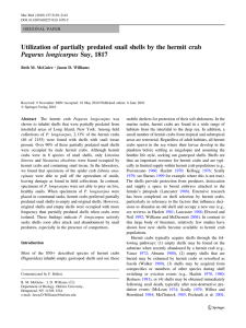 Utilization of partially predated snail shells by the hermit crab