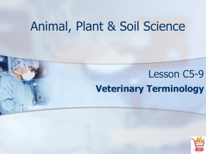 Animal, Plant &amp; Soil Science Lesson C5-9 Veterinary Terminology