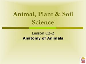 Animal, Plant &amp; Soil Science Lesson C2-2 Anatomy of Animals