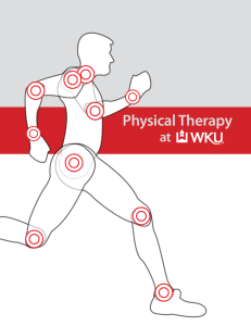 Physical Therapy at