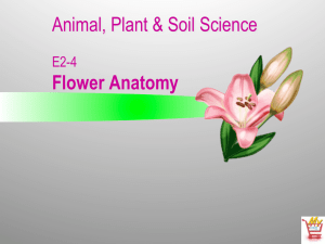 Animal, Plant &amp; Soil Science  Flower Anatomy E2-4