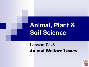 Animal, Plant &amp; Soil Science Lesson C1-3 Animal Welfare Issues