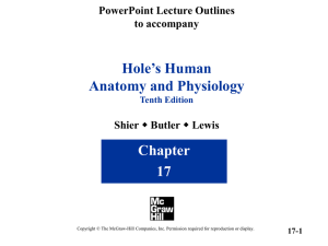 Hole’s Human Anatomy and Physiology Chapter 17