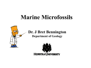 Marine Microfossils Dr. J Bret Bennington Department of Geology