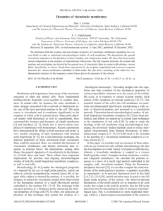 Dynamics of viscoelastic membranes Alex J. Levine