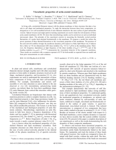 Viscoelastic properties of actin-coated membranes * E. Helfer, S. Harlepp,