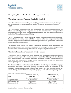 Energizing Cleaner Production – Management Course  Workshop exercise: Financial Feasibility Analysis