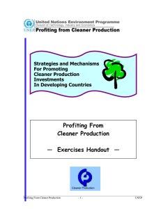 Profiting From Cleaner Production —  Exercises Handout  —