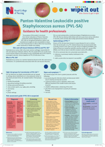 Panton-Valentine Leukocidin positive Staphylococcus aureus (PVL-SA) Guidance for health professionals