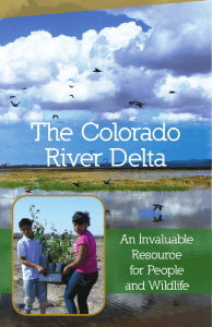 The overall long-term goal of the Colorado River Delta Economic... Project, in conjunction with other initiatives, is to enhance, restore,...