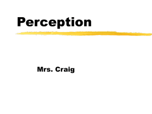 Perception Mrs. Craig