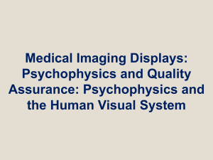 Medical Imaging Displays: Psychophysics and Quality Assurance: Psychophysics and the Human Visual System