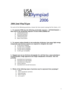 2006 Semi-Final Exam