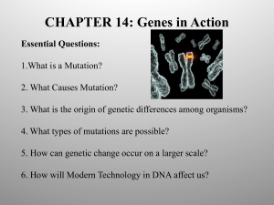 CHAPTER 14: Genes in Action